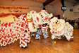 DSC_0729_small.jpg