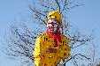 203_Chinese_New_Year_160213_small.jpg
