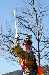 217_Chinese_New_Year_160213_small.jpg