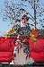 220_Chinese_New_Year_160213_small.jpg