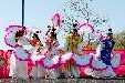 277_Chinese_New_Year_160213_small.jpg