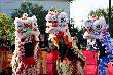 359_Chinese_New_Year_160213_small.jpg