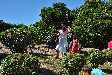 DSC_7646_small.jpg