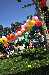 DSC_6823_small.jpg