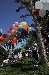 DSC_6827_small.jpg