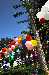 DSC_6838_small.jpg